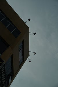 Low angle view of bird flying against sky