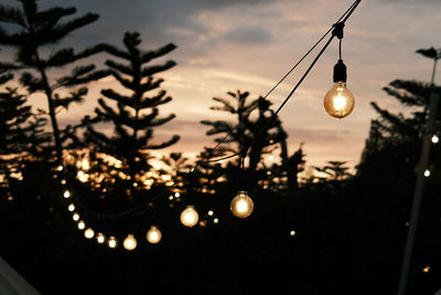 Low angle view of illuminated light hanging on tree