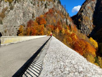 Surface level of road on mountain during autumn