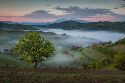 Mountain landscape in the spring season.