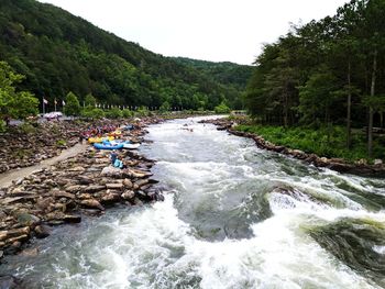 Scenic view of river in forest against sky