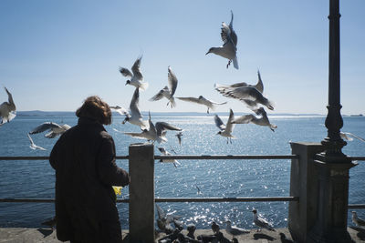 Seagulls flying over sea against sky