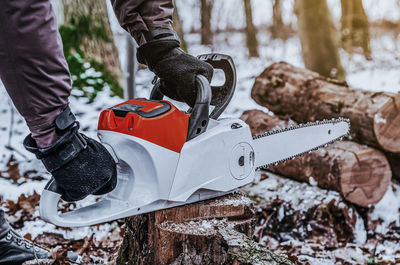 Lumberjack saws a tree with chainsaw in forest.