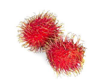 Close-up of red fruit against white background