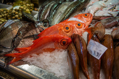 Close-up of fish for sale in market