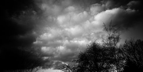 Low angle view of trees against cloudy sky