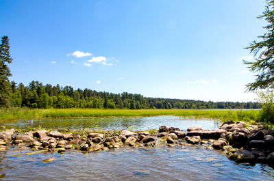 Scenic view of lake in forest against sky