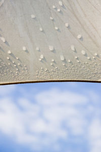 Low angle view of wet window in rainy season