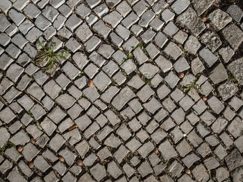 High angle view of cobblestone street