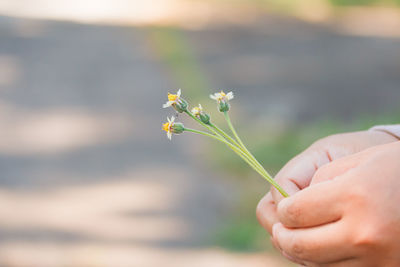 Close-up of hand holding flower