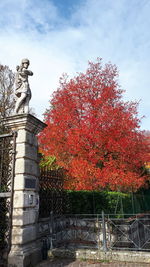 Low angle view of statue by flowering tree against sky