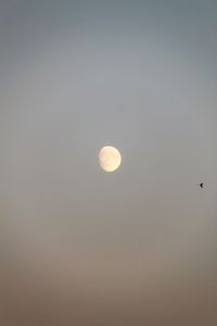 Low angle view of moon against sky at night