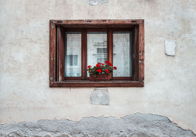 Flower pots on window of building