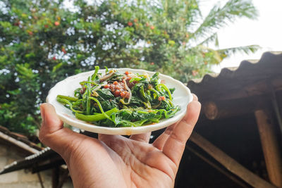 Close-up of hands holding white plate of spinach. spinach vegetable dish with peanut sauce