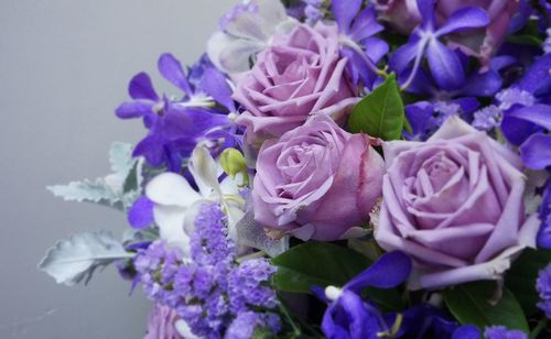 Close-up of purple roses