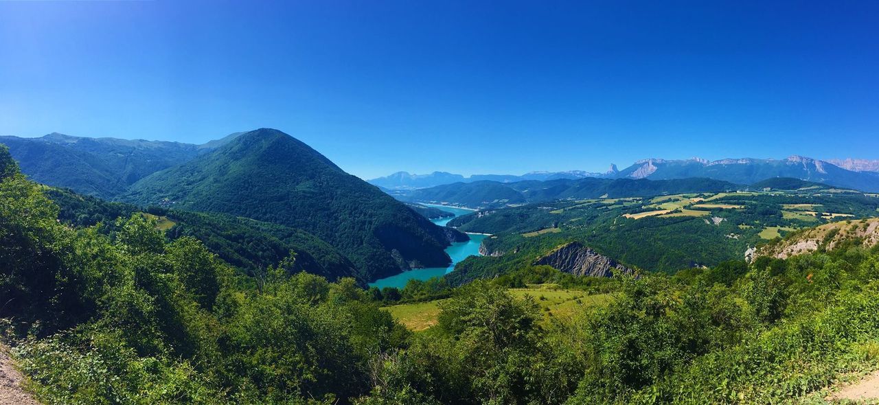 SCENIC VIEW OF TREE MOUNTAINS AGAINST CLEAR BLUE SKY