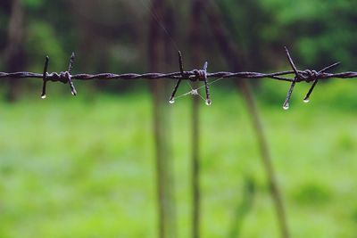 Close-up of barbed wire fence