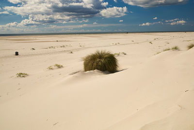 Scenic view of desert against sky