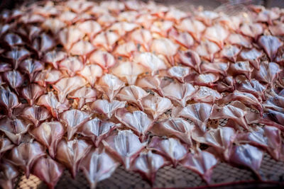 Full frame shot of fish for sale in market