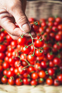 Cropped hand holding cherry tomatoes over wicker basket