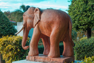 View of elephant standing against plants