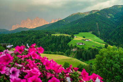 The odle mountain peaks in the dolomites in italy. the villnößtal with a view of the geisler.