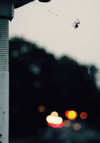 Defocused image of illuminated city