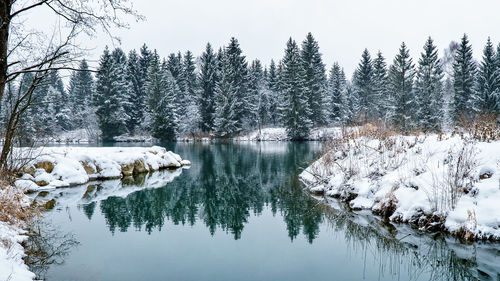 Reflection of trees in lake against sky