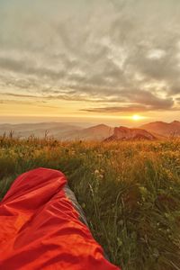 Scenic view of field against sky during sunset