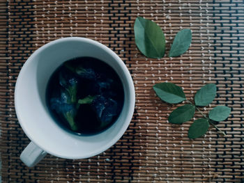 Directly above shot of potted plant on table