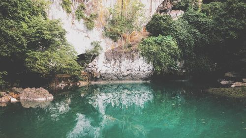 Scenic view of lake in forest