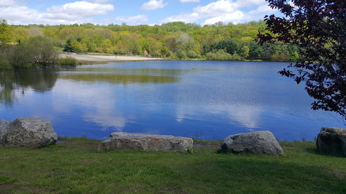 Scenic view of lake by trees against sky