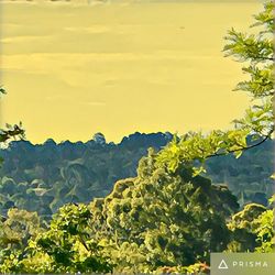 Scenic view of agricultural field against sky at sunset