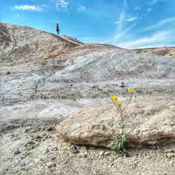 Close-up of rock on landscape against sky