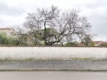 Bare tree by canal against sky during winter