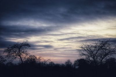 Silhouette bare trees against sky at sunset