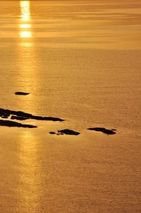 Silhouette birds on sea against sky during sunset