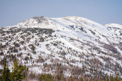 snow