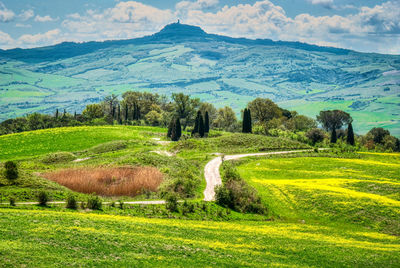 Scenic view of field against sky
