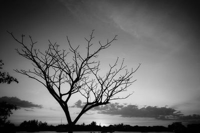 Low angle view of silhouette bare tree against sky