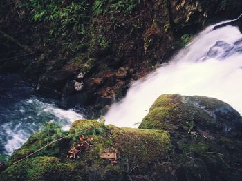 Scenic view of waterfall