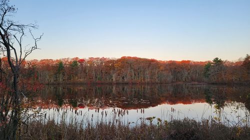 Scenic view of lake against clear sky during autumn