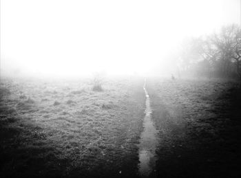 View of field in foggy weather