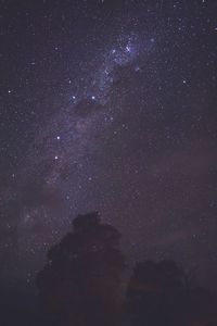 Low angle view of stars in sky at night