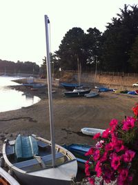 Sailboats moored on sea against clear sky