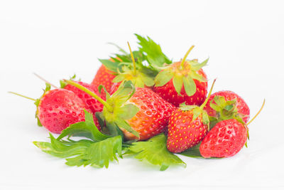 Close-up of strawberries against white background