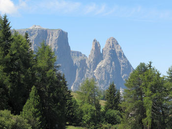 Panoramic view of pine trees and mountains against sky