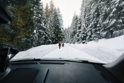 Rear view of people on snow covered mountain road and coniferous trees