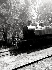 Train by railroad track in forest