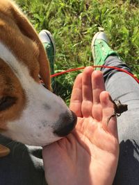 Close-up of woman hands